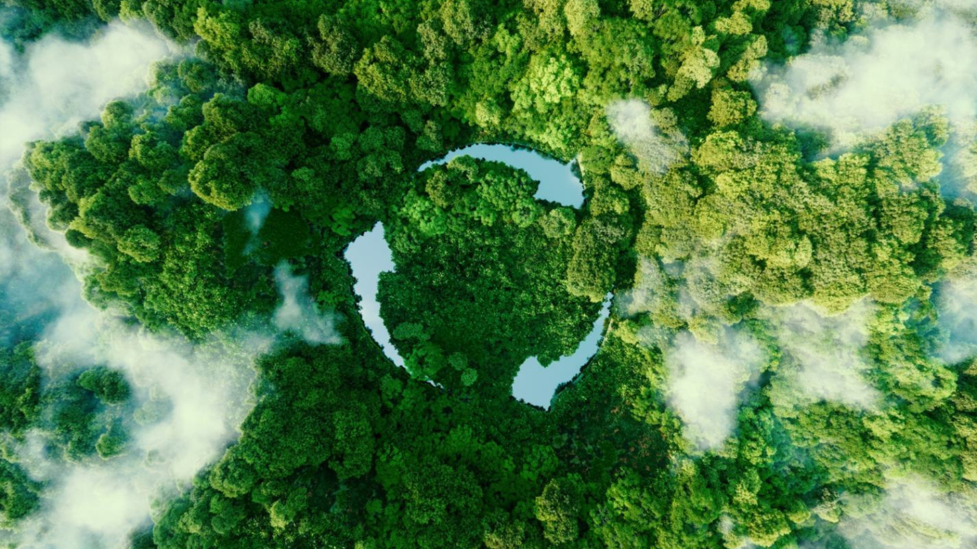 Carbon footprint: ESG in business