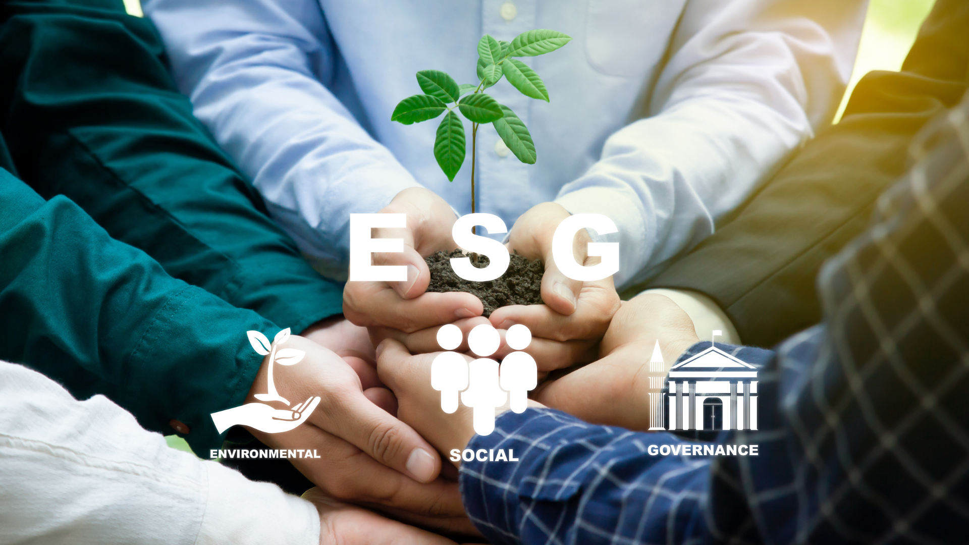 Financial and Non-Financial ESG Rating
