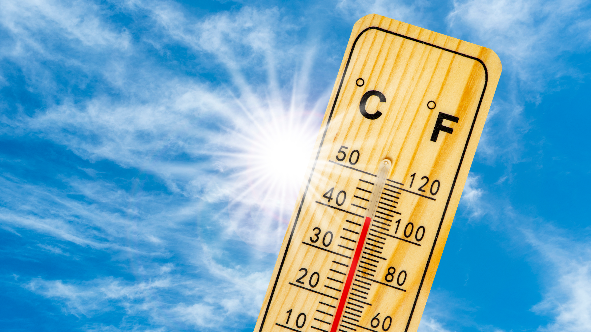 Sustainable Solutions for Summer Heat
