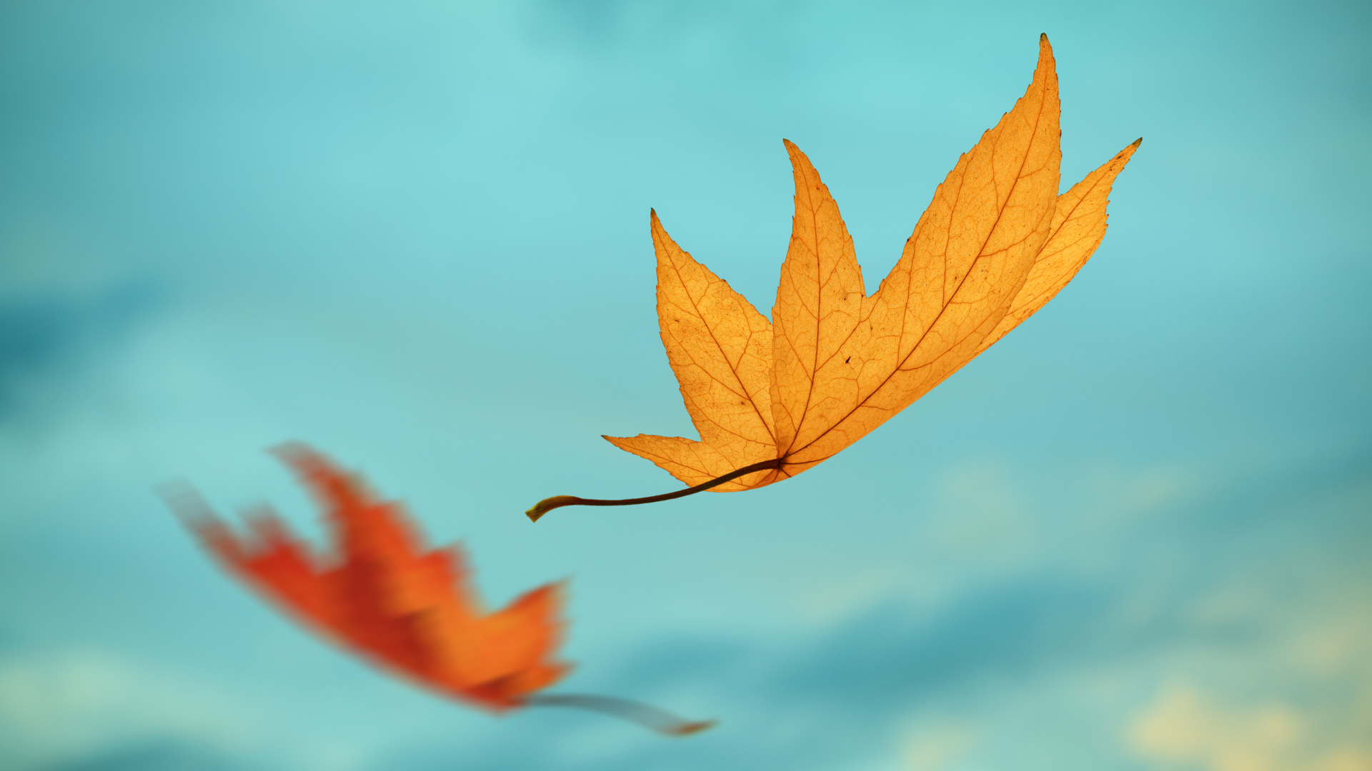 The Autumn That No Longer Exists