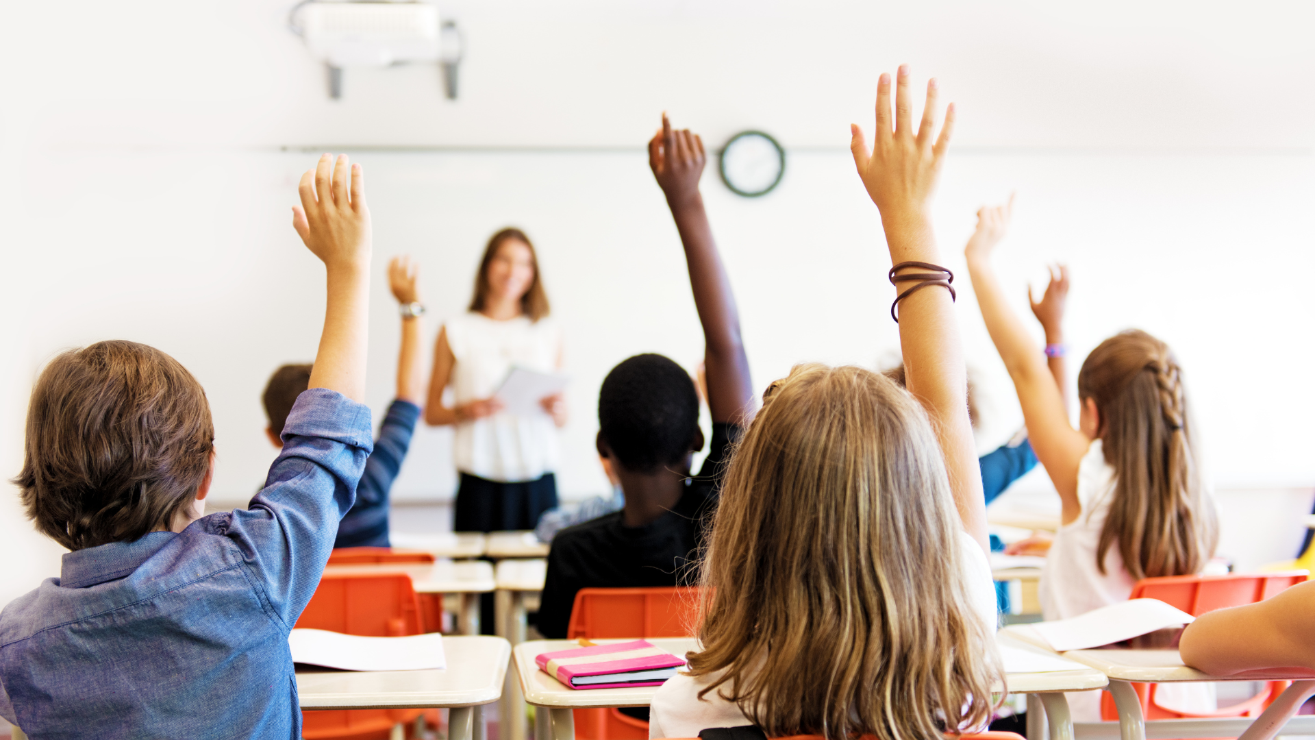 The Importance of Sustainability Education in Schools