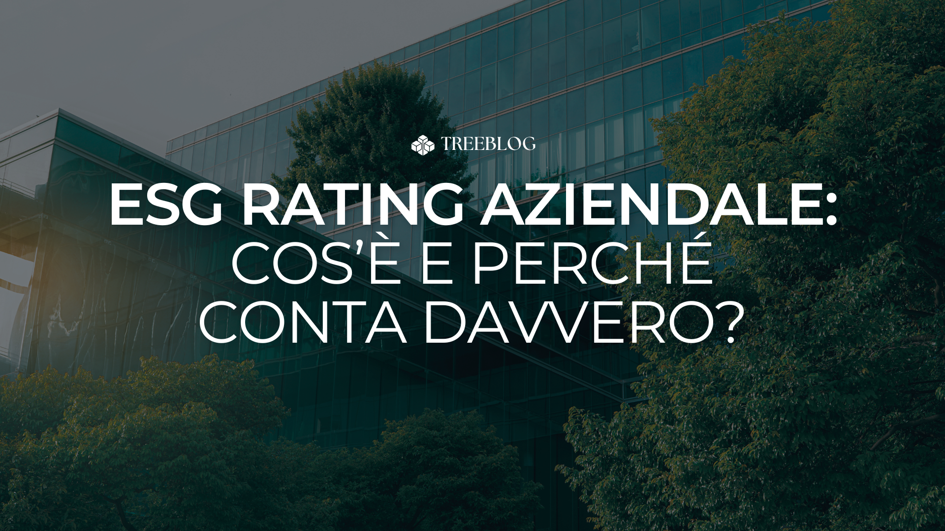 ESG Rating Aziendale: Cos’è e perché conta davvero?