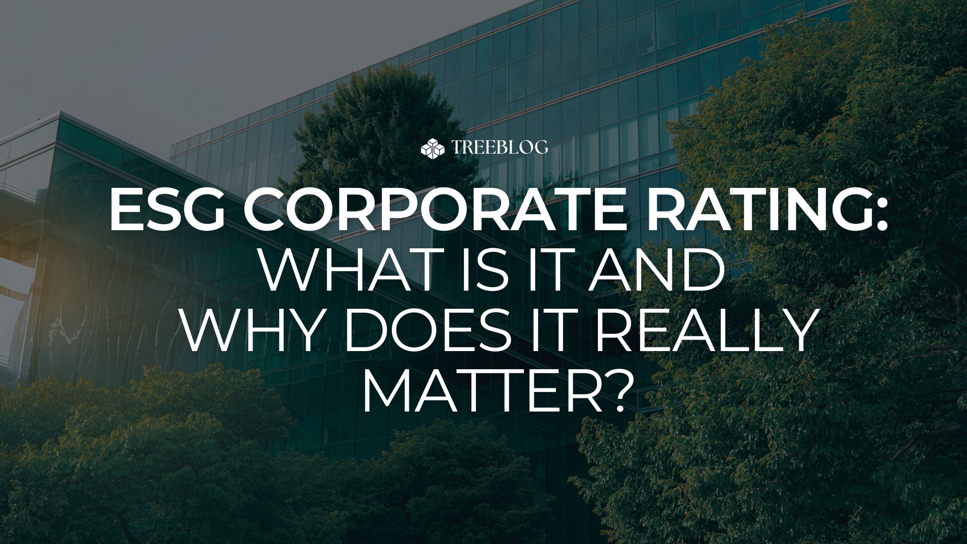 The Importance of ESG Rating for Businesses