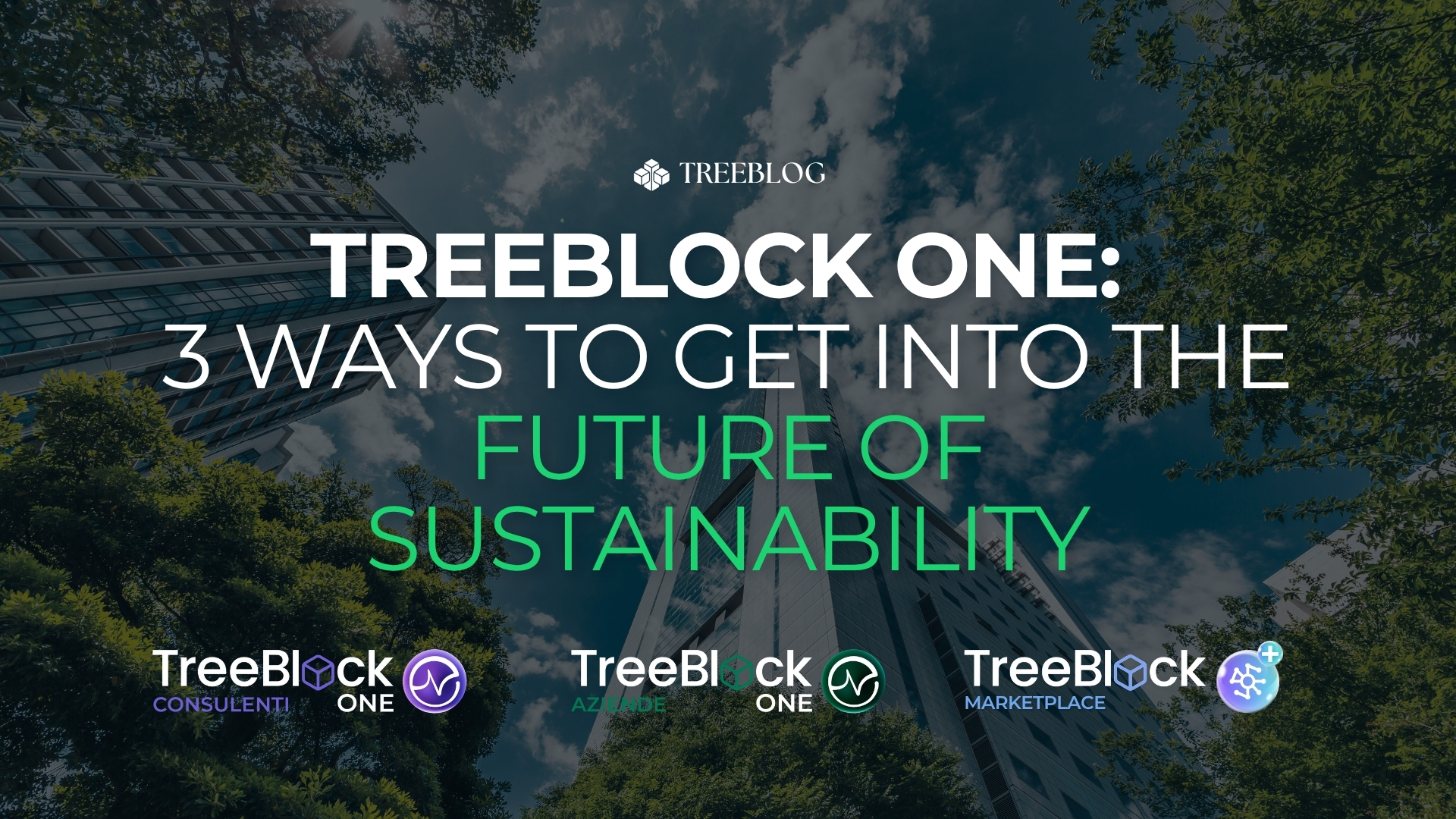TreeBlock One: Three Ways to Step into the Future of Sustainability