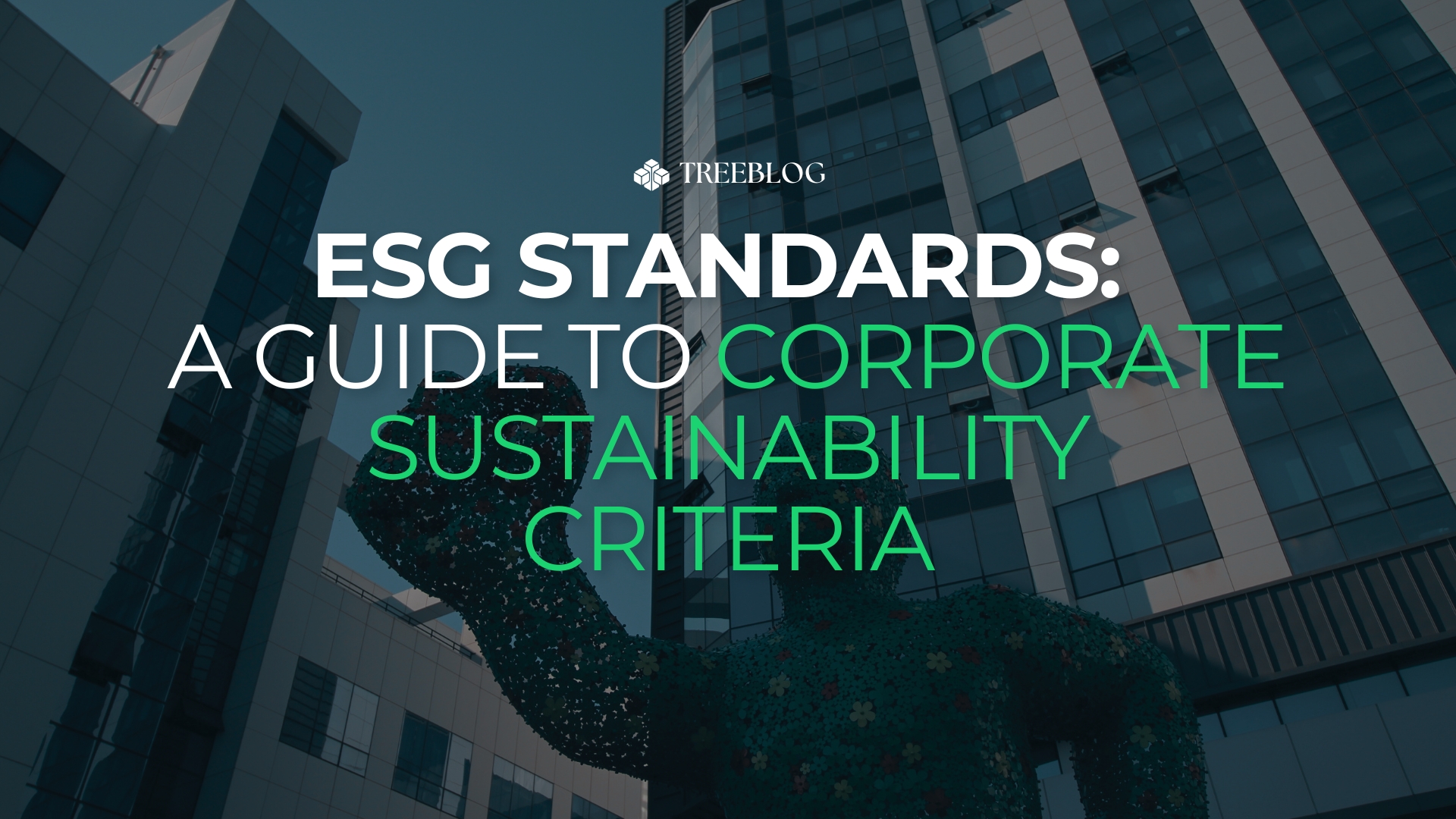 ESG Standards: A Guide to Corporate Sustainability Criteria