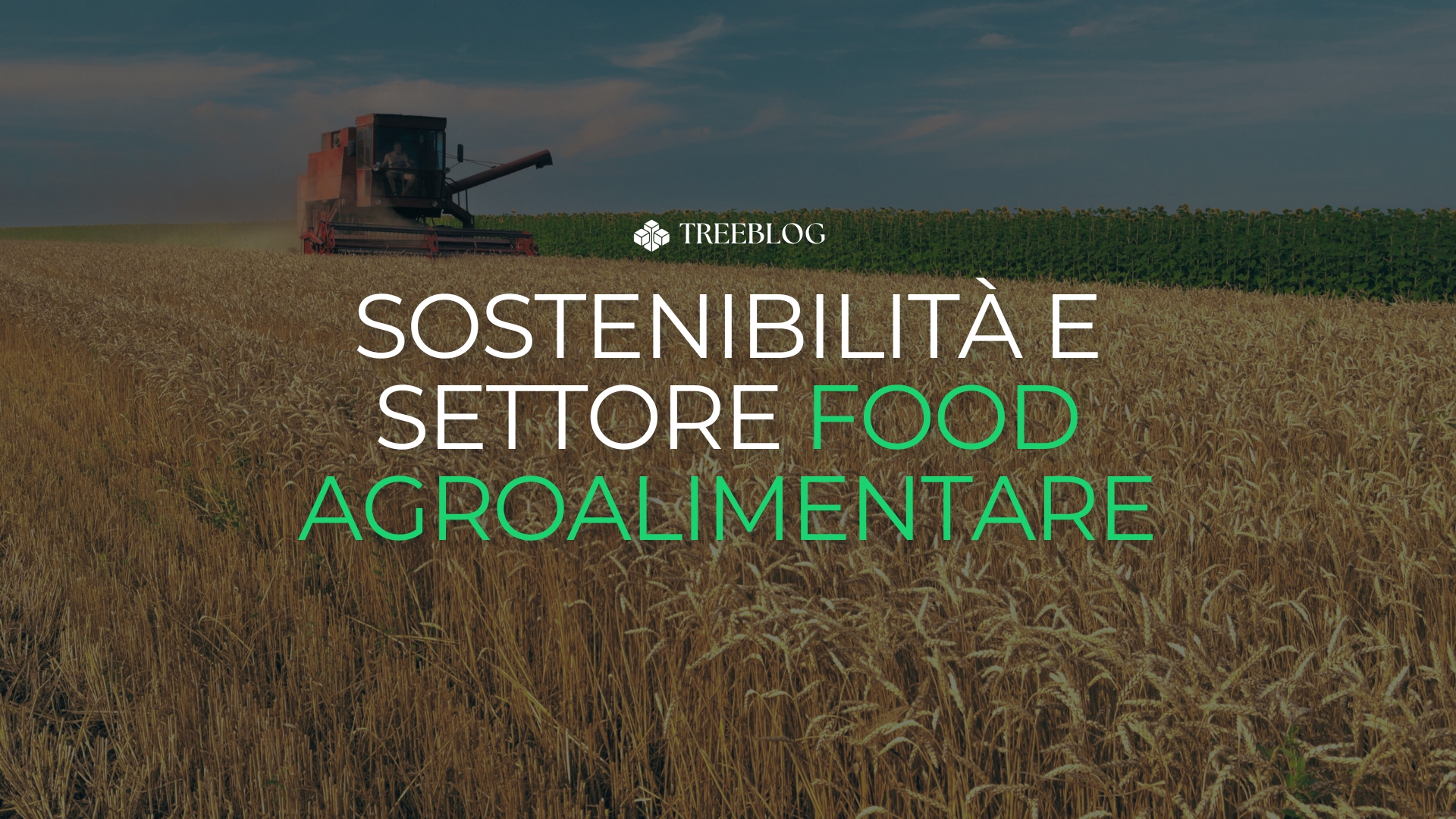 Sostenibilità e settore agroalimentare: una sfida (e un’opportunità) per il futuro