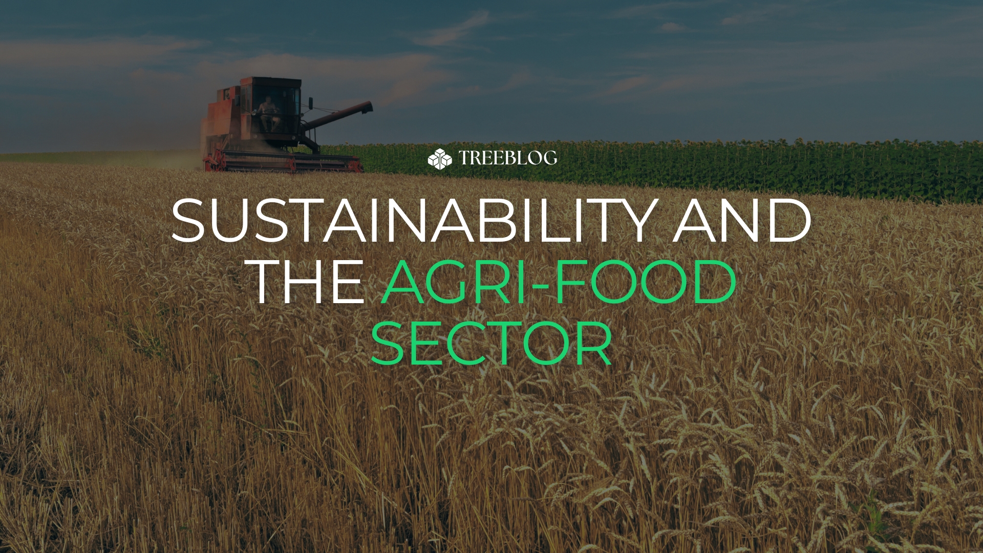 Sustainability and the Agri-Food Sector: A Challenge (and an Opportunity) for the Future