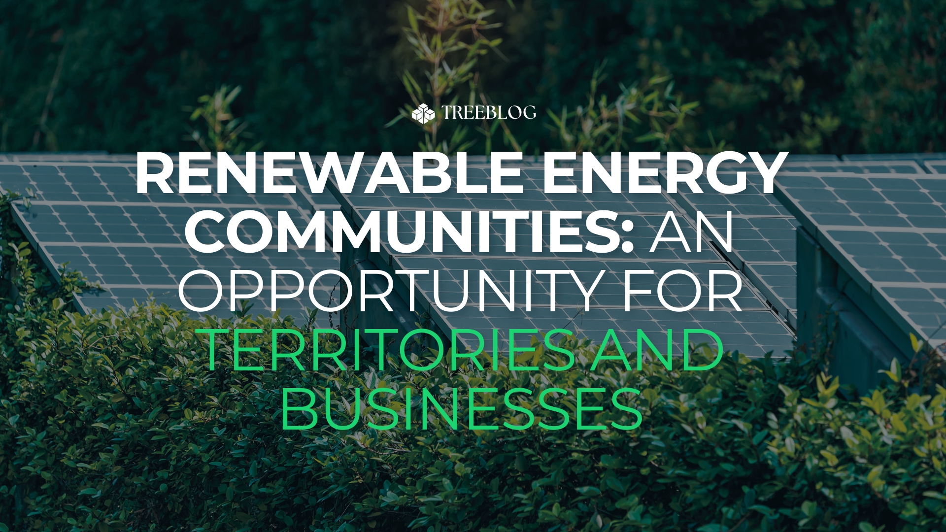 Renewable Energy Communities (RECs): a Shared Model for a Sustainable Future