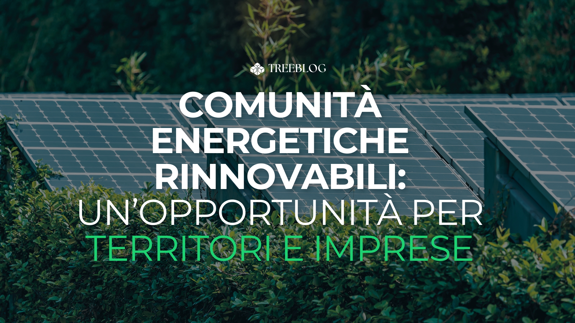 Comunità Energetiche Rinnovabili: un’opportunità concreta per territori e imprese